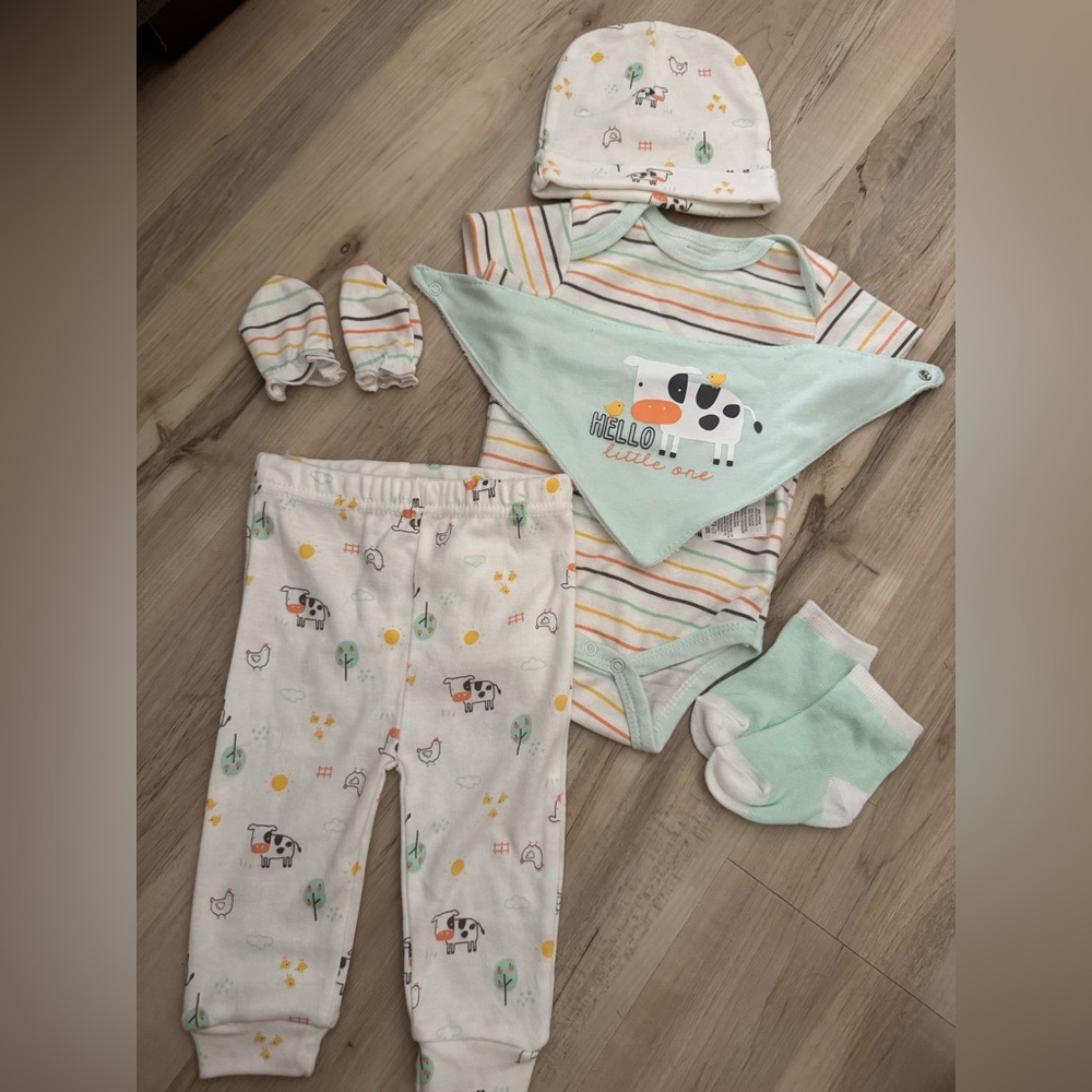 Striped Multicolor farm animal outfit